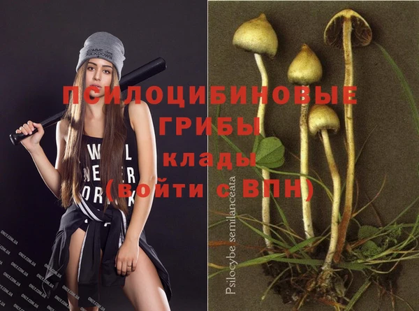 шишки Ижевск
