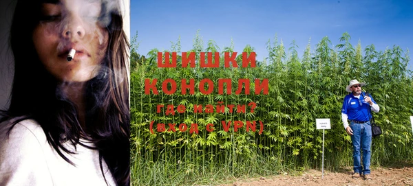 шишки Ижевск