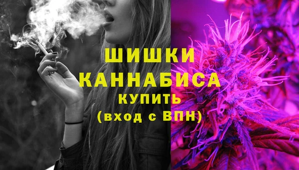 шишки Ижевск