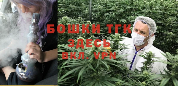 тгк Каменка